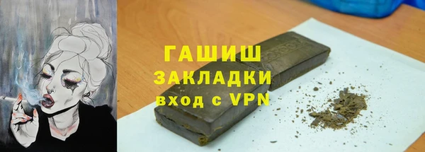 дживик Ельня