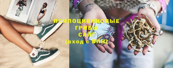 дживик Заводоуковск