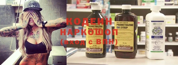 дживик Заводоуковск