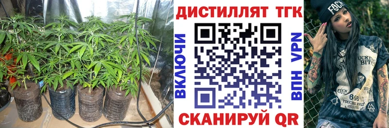 ТГК вейп  Купить закладки  Киржач 